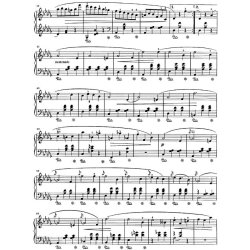 Frederic Chopin: Walzer Op. 64 Number 1