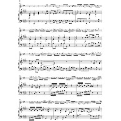 J.S. Bach: Concerto For Violin And Orchestra In E BWV 1042