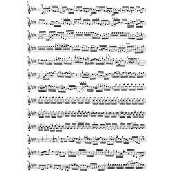 J.S. Bach: Concerto For Violin And Orchestra In E BWV 1042