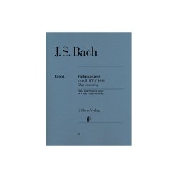 J.S. Bach: Violin Concerto In A Minor BWV 1041