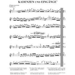 Wolfgang Amadeus Mozart: Concerto for Flute and Orchestra G major K.313 (Flute/Piano)