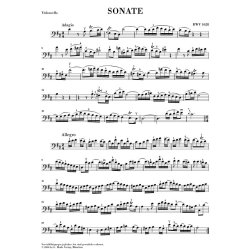 Johann Sebastian Bach: Sonatas for Viola da Gamba and Harpsichord BWV 1027-1029