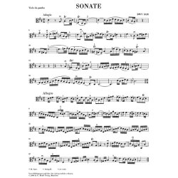 Johann Sebastian Bach: Sonatas for Viola da Gamba and Harpsichord BWV 1027-1029