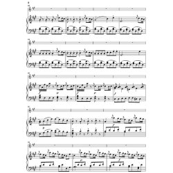 Wolfgang Amadeus Mozart: Violin Concerto no. 5 A major K. 219