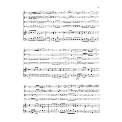 Franz Joseph Haydn: Concerto for Piano (Harpsichord) and Orchestra F major Hob. XVIII:3