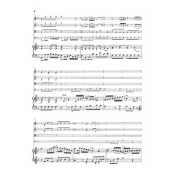 Franz Joseph Haydn: Concerto for Piano (Harpsichord) and Orchestra F major Hob. XVIII:3