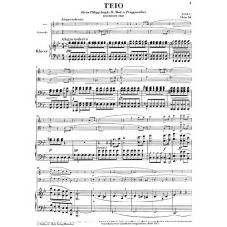 Carl Maria von Weber: Trio In G Minor Op.63