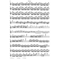 Antonio Vivaldi: Concerto for Flautino (Recorder/Flute) and Orchestra C major op. 44, 11 RV 443