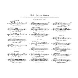 Johannes Brahms: Hungarian Dances WoO 1