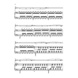 Edvard Grieg: Sonata For Piano And Violin In C Minor Op.45