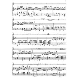 Wolfgang Amadeus Mozart: Concerto for Horn and Orchestra No. 1 D major KV 412/514