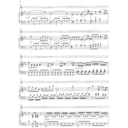 W.A. Mozart: Horn Concerto No.2 In E Flat K.417 (Horn/Piano)