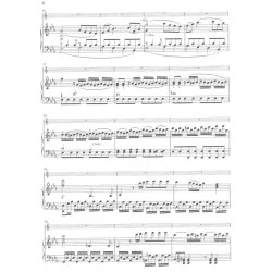 Wolfgang Amadeus Mozart: Concerto for Horn and Orchestra no. 4 Eb major K. 495