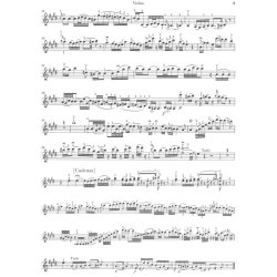 Wolfgang Amadeus Mozart: Single Movements for Violin and Orchestra K. 261, 269 and 373