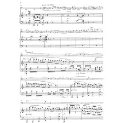 Camille Saint-Saens: Violoncello Concerto No.1 In A Minor Op.33