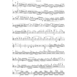 Camille Saint-Saens: Violoncello Concerto No.1 In A Minor Op.33