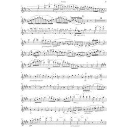 Camille Saint-Saens: Violin Concerto No.3 In B Minor Op.61