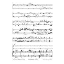 Johannes Brahms: Double Concerto A Minor Op. 102