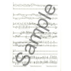 Johannes Brahms: Double Concerto A Minor Op. 102