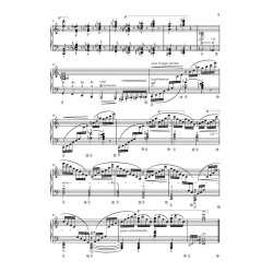 Franz Liszt: Transcendental Studies