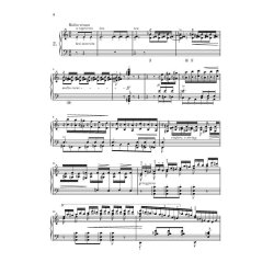 Franz Liszt: Transcendental Studies