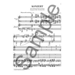 Edvard Grieg: Piano Concerto In A Minor Op.16 (2 Pianos)