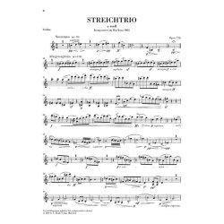 Max Reger: Streichtrios Op. 77b Und 141b