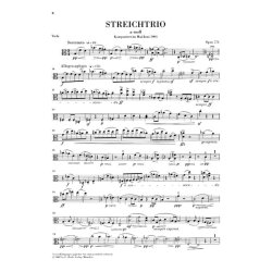 Max Reger: Streichtrios Op. 77b Und 141b