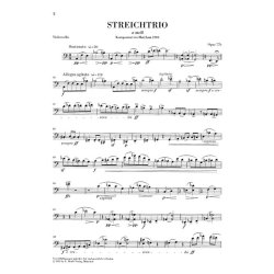 Max Reger: Streichtrios Op. 77b Und 141b