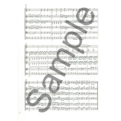 Wolfgang Amadeus Mozart: A Musical Joke K. 522 (Study Score)