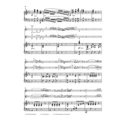 Carl Maria von Weber: Clarinet Concerto no. 2 E flat major op. 74