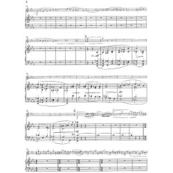 Ernest Chausson: Pome For Violin And Orchestra Op. 25 (Violin and Piano)