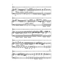 Franz Anton Hoffmeister: Viola Concerto In D (Violin and Piano)