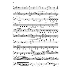 Johannes Brahms: Sonata For Piano And Violin In G Major Op.78