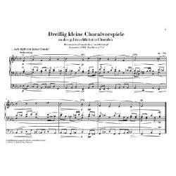 Max Reger: Thirty Little Chorale Preludes For Organ Op.135a