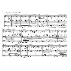 Max Reger: Thirty Little Chorale Preludes For Organ Op.135a