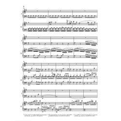 W.A. Mozart: Piano Concerto G Major KV.453