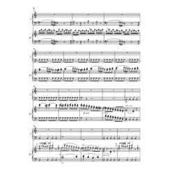 Wolfgang Amadeus Mozart: Piano Concerto C KV.467 (Two Pianos)