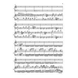 Wolfgang Amadeus Mozart: Piano Concerto C KV.467 (Two Pianos)