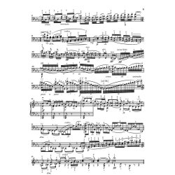 Eugene Ysaye: Sonata For Cello Solo Op.28