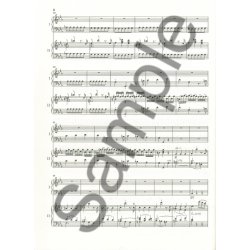 Wolfgang Amadeus Mozart: Piano Concerto In C Minor K. 491