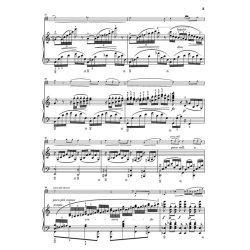 Frederic Chopin: Polonaise Brilliante Op.3 / Duo Concertant