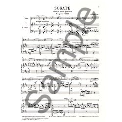 Ludwig Van Beethoven: Sonaten Fur Klavier Und Violine (Sonatas For Violin And Piano) Volume 1