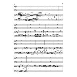 Ludwig van Beethoven: Piano Concerto Op.61a After The Violin Concerto Op.61