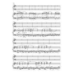 Ludwig van Beethoven: Piano Concerto Op.61a After The Violin Concerto Op.61