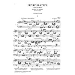 Robert Schumann: Bunte Bltter Op. 99
