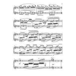 Maurice Ravel: Miroirs (Piano Solo)