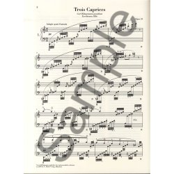 Felix Mendelssohn: Piano Works Volume 2