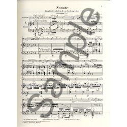 Ludwig Van Beethoven: Sonatas For Piano And Violoncello