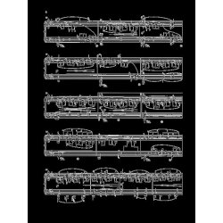 Robert Schumann: 3 Fantasy Pieces op. 111